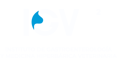 IGV - Instituto de Gastroenterología Veterinaria